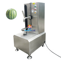 Groothandel Ananas Verwerkingsapparatuur Automatische Ananas Peeling Machine Prijs
