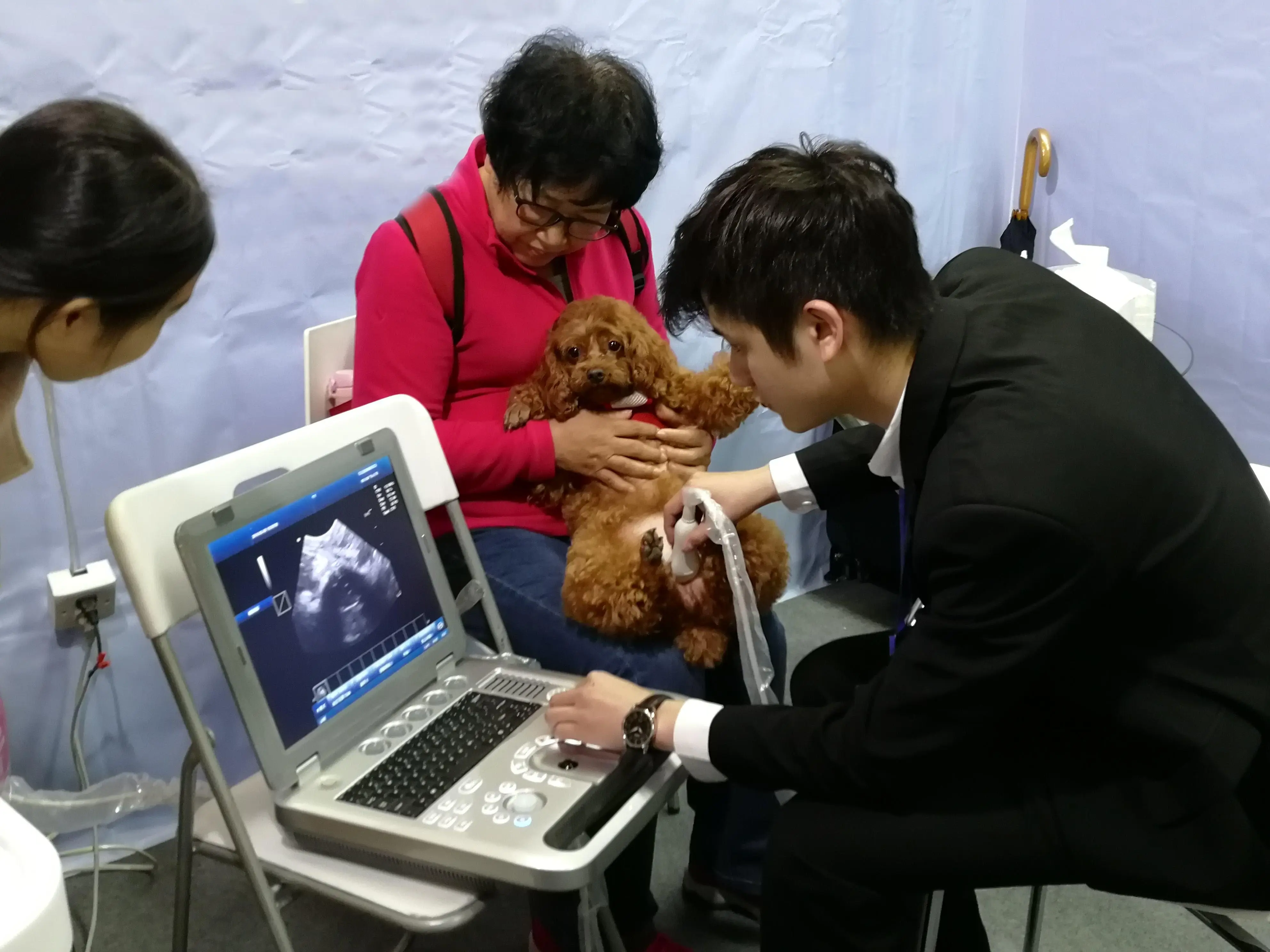 흑백 동물성 임신 초음파 스캐너 개 애완 동물 가축 암소 수의 휴대용 초음파