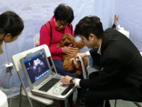 Alat USG Veteriner Medis Portabel, USG Digital Portabel Diagnostik, USG 2D 3D 4D, Layar LED 15 Inch
