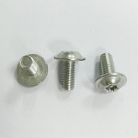 M3 M4 M5 M6 M8 #6-32 #8-32 #10-24 1/4-20 Acier inoxydable 304 316 Torx Vis antivol Bride Bouton Tête Socket Cap Vis
