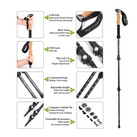 Bâton de trekking en fibre de carbone pliable, léger et personnalisé, 3 sections