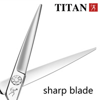 Ciseaux de coiffure professionnels Titan 6 pouces en titane, lame droite en acier inoxydable avec acier 440c tranchant