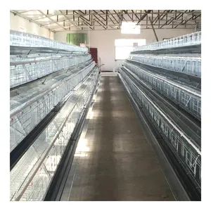 Poultry Laying Hens Equipment Manufacturers Design for 10000 Layer Chickens Cages Chicken Coop Automatic