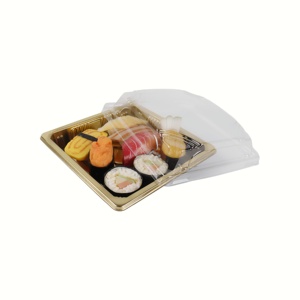 Factory Directly Sale <strong>Disposable</strong> Durable Plastic Food Container Packaging Sushi to Go Box Container square to Go <strong>Platter</strong> - Product Image 6