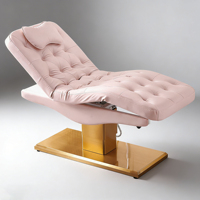 Table de massage électrique réglable professionnelle, fauteuil de beauté inclinable, canapé de cosmétologie
