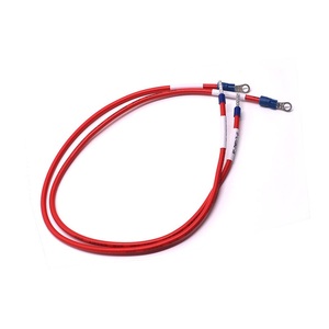Rot-Schwarzer DC-Stromkabelbaum mit Ringösenklemme, 12 AWG 600V VW-1, OEM Kundenspezifisches Batterieladegerät - Product Image 4