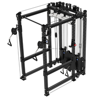 Équipement de musculation à domicile Rising DLR21, entraîneur fonctionnel, machine Smith, rack à squats, construction en acier inoxydable, poids 80 kg*2