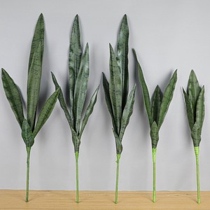 Linternas rtificales, ansevieria - Product Image 5