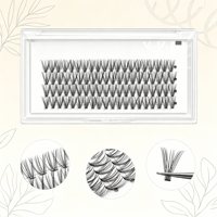 Cils en grappes DIY de qualité salon, volume russe, faits à la main, légers, sans cruauté, longueurs mixtes, logo personnalisé