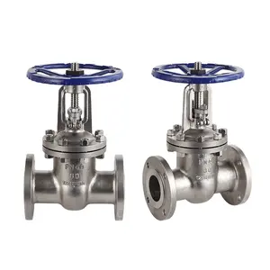 Xintai Z41W-40P Rising Stem 3 Inch Gate Valve Flanged Gate Valve, DN80 Compression and Vented Russian GOST Gate Valve