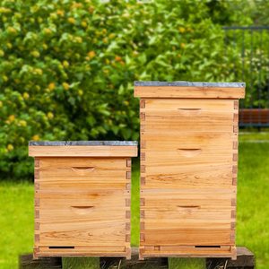 Kit de Colmena de Abejas de Madera Recubierta de Cera, Equipo de Apicultura, Marco de Madera para Colmena, Cajas de Colmena Langstroth, Logotipo Personalizado - Product Image 6