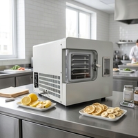 Machine de lyophilisation sous vide commerciale de petite taille Candy Airwood pour la transformation des aliments, des fruits, des légumes et de la viande