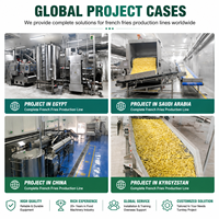 Ligne de production de frites surgelées à économie d'huile, conception à capacité personnalisée continue pour la fabrication industrielle de frites