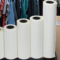 Offre Spéciale Film de Transfert Thermique DTF Double Face 60cm de Large A3/A4 en PET Pailleté Haute Température Réfléchissant pour Textiles et Vêtements