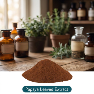 Extracto de Hojas de Papaya en Polvo, Extracción por Solvente, Extracto de Planta de Grado Alimenticio para Aplicaciones Alimentarias - Product Image 2