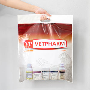 Bolsas de Compras Personalizadas al por Mayor con Logotipo, Bolsas de Plástico con Asas, Bolsas de Regalo Troqueladas para Tiendas de Ropa y Boutiques - Product Image 1