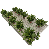 Plateaux d'inondation en plastique ABS 4x4 4x8 Système hydroponique d'intérieur pour la culture de serres agricoles
