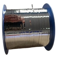 Film mince en feuille de platine 1*0,05 mm pour contrepôts, pureté 99,95 %, pour applications médicales et de laboratoire, marque JYDZ, modèle Pt-02