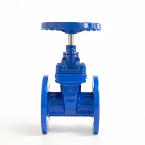 Nhà Máy Giá DN50 PN16 gang mặt bích không tăng thân mềm con dấu Van cổng - Product Image 2