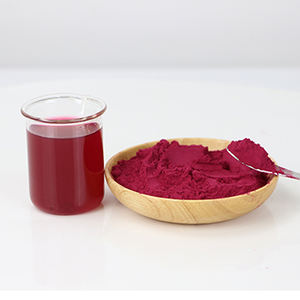 Amulyn Food Plant Extract Suppléments nutritionnels 100% Natural Pure Betterave Extract - Product Image 2