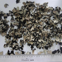 Offre Spéciale Chine Fabrication Sec noir champignon champignons séchés prix