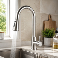 Robinet de cuisine flexible à douchette extractible - Style moderne en acier inoxydable, monocommande, finition nickel brossé, à poser sur comptoir, pour usage hôtelier