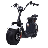 Scooter Eléctrico Clásico de 1500W, Económico, de 2 Plazas, Citycoco, con Dos Ranuras para Baterías de Litio Extraíbles