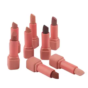 Rouge à lèvres bio de haute qualité direct d'usine brun mat imperméable et durable meilleur rouge à lèvres pour le maquillage