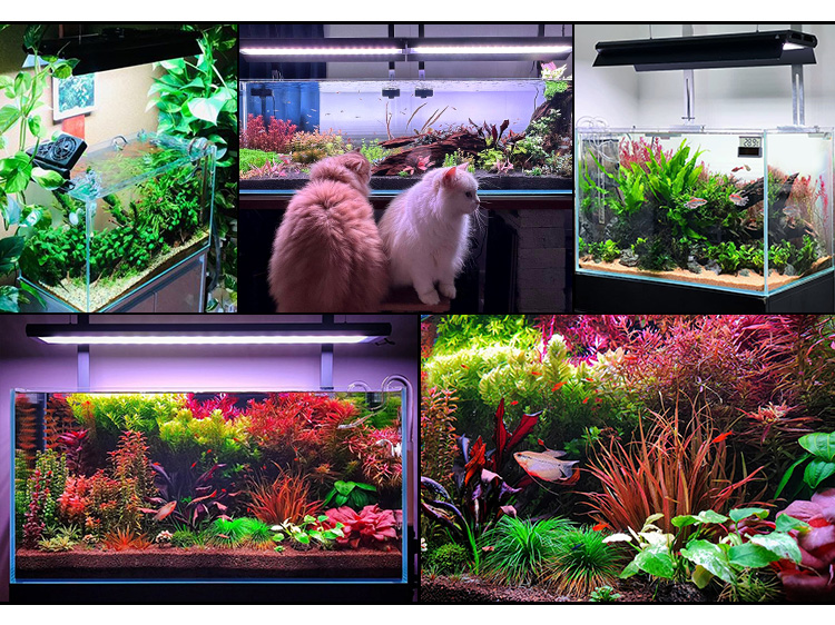 60cm LED Aquarium Light - APP Control & Adjustable Height