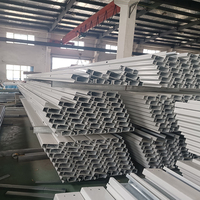 Ossature de Conteneur Amovible en Acier Galvanisé pour Maison Préfabriquée Modulaire, Pièce Familiale, Cadre de Conteneur 20 Pieds