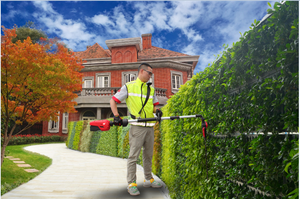 Taille-haie longue portée Nplus Pole avec batterie 7.8ah Produit léger et efficace - Product Image 4