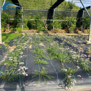 Toile <span class=keywords><strong>géotextile</strong></span> tissée en PP sur mesure pour le contrôle des adventices, idéale pour l'agriculture, les pépinières, les jardins et les projets aquacoles - Product Image 5