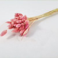Bunga Barley Kering Alami Yunnan, Rumput Batu Permata Kering Berwarna-warni untuk Dekorasi Pernikahan, Rumah, Hari Valentine & Wisuda, Penjualan Panas