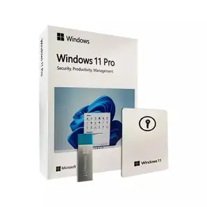 Windows 11 USB 12 Monate garantiert Windows 11 Pro Box Paket DHL kostenloser Versand, Windows 11 Pro USB