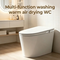 WC intelligent automatique populaire, économie d'eau 4,8 L, double filtration, séchage à air chaud pour l'ingénierie hôtelière