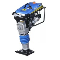 Moteur à essence/diesel certifié CE de pilon de construction portable avec compacteur à plaques compacteur à plaques électrique