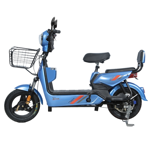 Eco Electric Scooter with 30km-40km Range Pedal Assistance 35km/H