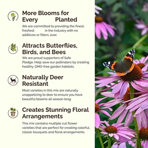 Mezcla de flores perennes de verano sin fin de <span class=keywords><strong>Eden</strong></span> Brothers 1/4 LB 120.000 + Coneflower atrae PÁJAROS PARA jardineras de jardín y exteriores - Product Image 4
