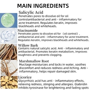 Tonique à l'écorce de saule naturelle et à l'acide salicylique avec de la niacinamide <span class=keywords><strong>pour</strong></span> les peaux sujettes à l'acné |   Nourrir en profondeur et éclaircir |   Formule douce - Product Image 6