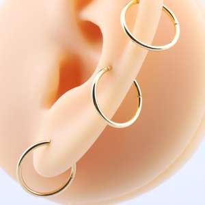 Anillo <span class=keywords><strong>de</strong></span> <span class=keywords><strong>titanio</strong></span> con segmento <span class=keywords><strong>de</strong></span> bisagras para <span class=keywords><strong>nariz</strong></span>, diseño <span class=keywords><strong>de</strong></span> aro dorado para <span class=keywords><strong>nariz</strong></span>, <span class=keywords><strong>Piercing</strong></span> corporal a granel - Product Image 1