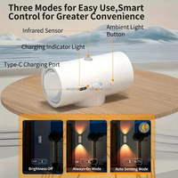 Lampe murale LED à détection de mouvement rechargeable, dégradé RGB, lumière d'ambiance nocturne, utilisation en extérieur, design décoratif moderne, garantie de 2 ans