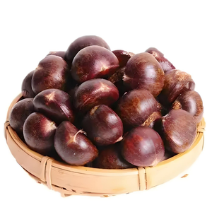 Castañas Frescas Orgánicas Ricas en Nutrientes Sin Gluten para Dietas Saludables Dulzura Totalmente Natural Castañas Frescas y Premium - Product Image 1