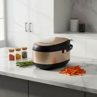 Cuisinière multifonction portable 5L, intelligente, multifonctionnelle, avec fonction de maintien au chaud, pot antiadhésif, cuiseur à riz automatique, tasse doseuse électrique