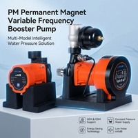 Pompe de surpression d'eau chaude automatique LXPRO60/80 à moteur PM économe en énergie pour l'irrigation domestique et de jardin Prête à être expédiée