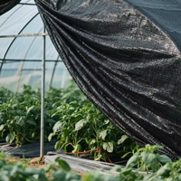 HDPE Zwart Buitenzonwering Net - Winddicht, Milieuvriendelijk, UV-bescherming, Landbouwzonwerend Doek voor Tuin & Boerderij Gebruik