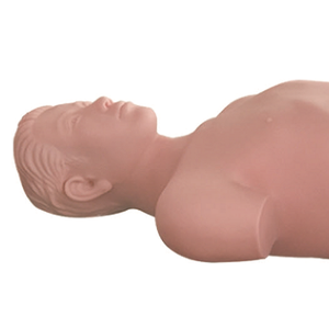 Modèle d'entraînement et d'évaluation à la ponction des ganglions lymphatiques et au ponction du sinus maxillaire ADA CLB130/CSE131 pour l'enseignement médical - Product Image 5