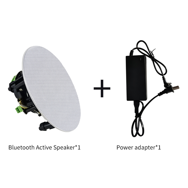 Wireless BluetoothS Ceiling Speaker Active Built-in Wall Amplifier Smart Home Background Music High Fdelity Stereo Player SUMWEE