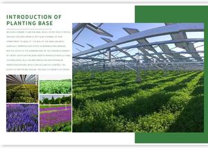 OEM Etiqueta Privada solarium intensificador acelerador cosquilleo <span class=keywords><strong>bronceado</strong></span> crema gel aceite mantequilla gel - Product Image 6