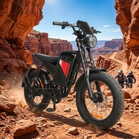Vélo de montagne électrique 1000W 48V avec pneus larges 20 pouces, style rétro, pour la vente en gros (MOQ 1)