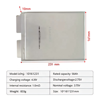 Batterie Lithium-ion polymère LithoTop 58Ah NCM Cellule Pouch 3.75V Semi-solide 1500 Cycles EV Électrique 275 Wh/kg